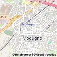 Kart Modugno