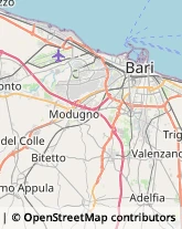 Ecografia e Radiologia - Studi Bari,70124Bari