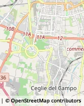 Analisi Cliniche - Medici Specialisti Bari,70125Bari