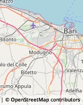 Ristoranti Bari,70124Bari