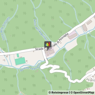 Legname da Costruzione Pescaglia,55064Lucca