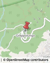 Via Greppolungo, 9,55041Camaiore