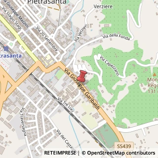 Mappa Via G. Garibaldi, 124, 55045 Pietrasanta, Lucca (Toscana)
