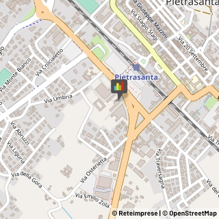 Pubblicità - Cartelli, Insegne e Targhe Pietrasanta,55045Lucca