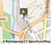 Elettrauto Pistoia,51100Pistoia