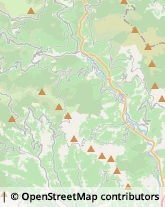 Oli Alimentari e Frantoi Caravonica,18020Imperia