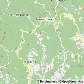 Mappa Marliana