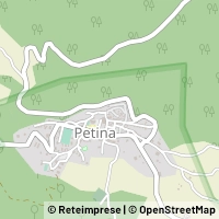 Hartă Petina