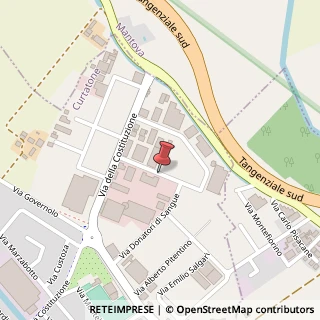 Mappa Via R. Lombardi, 13, 46010 Curtatone, Mantova (Lombardia)