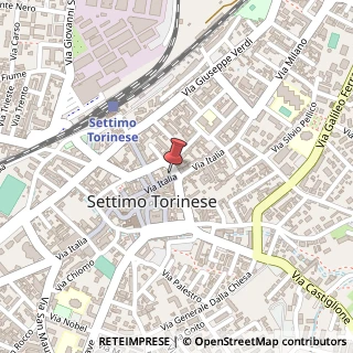 Mappa Via Italia, 47, 10036 Settimo Torinese, Torino (Piemonte)