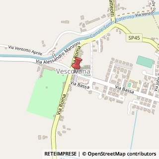 Mappa Via Bassa, 2, 35040 Vescovana, Padova (Veneto)