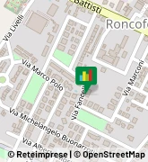 Via Fancelli Luca, 27,46037Roncoferraro