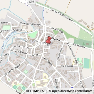 Mappa Via Risorgimento, 5, 10040 Druento, Torino (Piemonte)