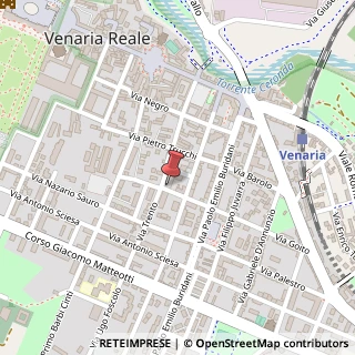 Mappa Via Lelio Silva, 12, 10078 Venaria Reale, Torino (Piemonte)