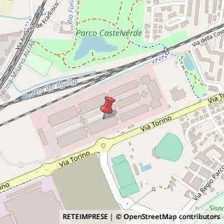 Mappa Via Torino, 118, 10036 Settimo Torinese, Torino (Piemonte)