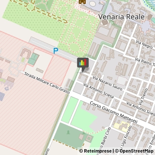 Corrieri Venaria Reale,10078Torino