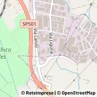 Mapa Borgaro Torinese