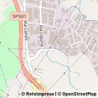 Carte Torino