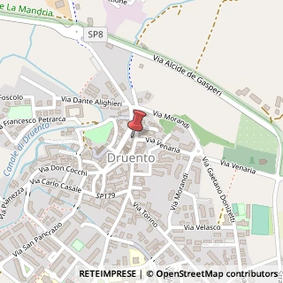 Mappa Via Roma, 29, 10040 Druento, Torino (Piemonte)