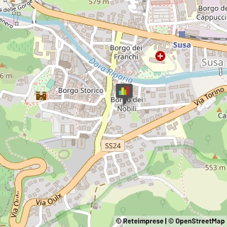 Logopedia Susa,10059Torino