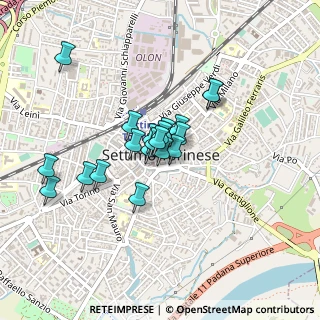 Mappa Via S. Francesco D'Assisi, 10036 Settimo Torinese TO, Italia (0.3105)