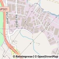 Map Borgaro Torinese
