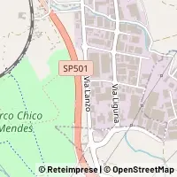 মানচিত্র Borgaro Torinese