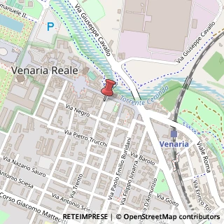 Mappa Via Rolle Pietro, 2, 10078 Venaria Reale, Torino (Piemonte)