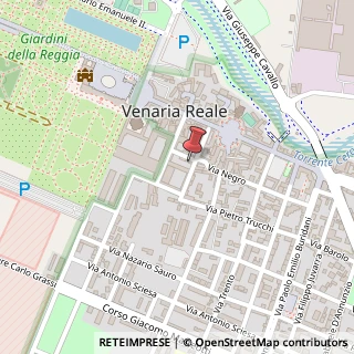 Mappa Via Pavesio, 16, 10078 Venaria Reale, Torino (Piemonte)