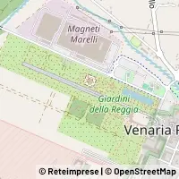 地图 Venaria Reale