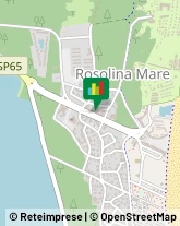 Viale dei Pini, 23,45010Rosolina