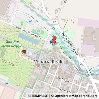 Mappa Via Amedeo di Castellamonte, 2, 10078 Venaria Reale, Torino (Piemonte)