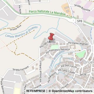 Mappa Via Ugo Foscolo, 8, 10040 Druento, Torino (Piemonte)