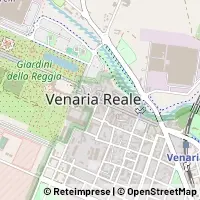 Kart Venaria Reale