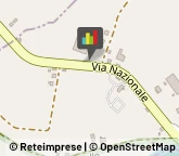 Frutta e Verdura - Ingrosso,44048Ferrara