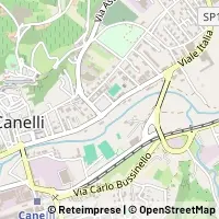 Kart Canelli