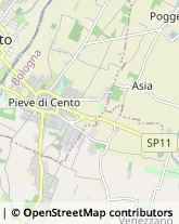 Psicologi Cento,44042Ferrara