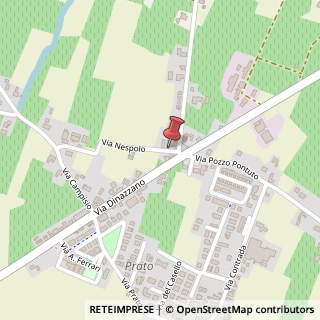 Mappa Via Nespolo, 6, 42015 Correggio, Reggio nell'Emilia (Emilia Romagna)