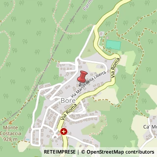 Mappa Via Martiri della Libertà, 24, 43030, 43030 Bore, Parma (Emilia Romagna)