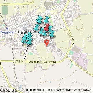 Mappa Via della Fontana, 70019 Triggiano BA, Italia (0.395)