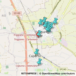 Mappa Via Carlo Cattaneo, 70019 Triggiano BA, Italia (0.82462)