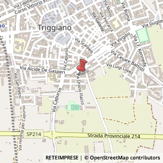Mappa Via Orazio, 13, 70019 Triggiano, Bari (Puglia)