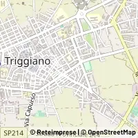 Karte Triggiano