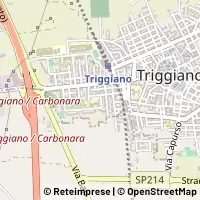 Kort Triggiano