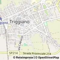지도 Triggiano