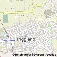 Kaart Triggiano
