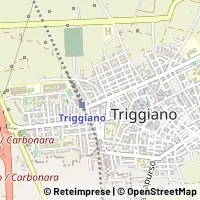 地图 Triggiano