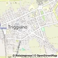 Kart Triggiano