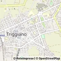 Kaart Triggiano
