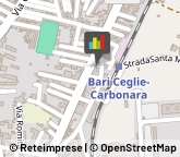 Veterinaria - Ambulatori e Laboratori Bari,70131Bari